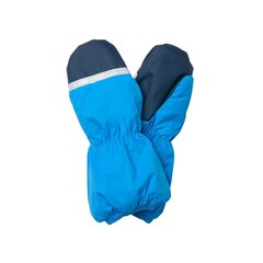 Lenne варежки для детей Snow 22175*631, синий 4741593117503 цена и информация | Шапки, перчатки, шарфы для мальчиков | 220.lv