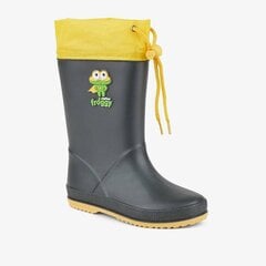 Gumijas apavi zēniem Wellingtons Coqui Rainy Collar, zaļi cena un informācija | Gumijas zābaki bērniem | 220.lv