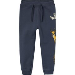 Name It SWEAT PANT 13221489 284617 цена и информация | Штаны для девочек | 220.lv