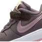 Bērnu sporta apavi Nike Court Borough Low 2 Purple BQ5453 200, violeta цена и информация | Sporta apavi bērniem | 220.lv