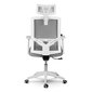 Biroja krēsls ar mikrotīklu, Rotar, pelēks цена и информация | Biroja krēsli | 220.lv