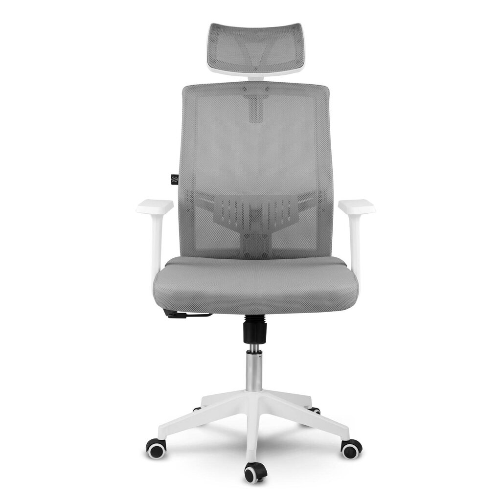 Biroja krēsls ar mikrotīklu, Rotar, pelēks cena un informācija | Biroja krēsli | 220.lv