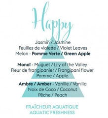 Maison Berger Paris Rezerves uzpilde auto difuzoram Aroma Happy Aquatic Fresheness (Auto difuzora uzpilde / uzpilde) 2 gab. cena un informācija | Auto gaisa atsvaidzinātāji | 220.lv