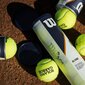 Tenisa bumbiņas Wilson Roland Garros, 4 gab. цена и информация | Āra tenisa preces | 220.lv