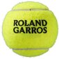 Tenisa bumbiņas Wilson Roland Garros, 4 gab. цена и информация | Āra tenisa preces | 220.lv