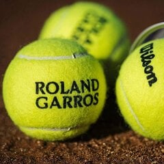 Теннисные мячи WILSON ROLAND GARROS, 4 шт. цена и информация | Товары для большого тенниса | 220.lv