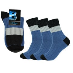 Мужские теплые носки Bisoks 12323 синие, 3 пары цена и информация | Мужские носки | 220.lv
