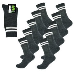 Мужские спортивные носки Bisoks, 11022 серые, 10 пар цена и информация | Мужские носки | 220.lv