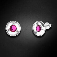 Серебряные серьги Diamond Sky "Астра (Fuchsia)" с кристаллами Swarovski™ DS02A655 цена и информация | Серьги | 220.lv