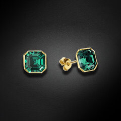 Sudraba auskari Imperial II Emerald ar Swarovski™ kristāliem DS02A658 cena un informācija | Auskari | 220.lv