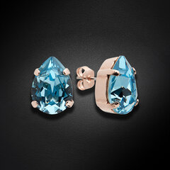 Серьги Diamond Sky "Венус II (Aquamarine)" с кристаллами Swarovski™ DS02A662 цена и информация | Серьги | 220.lv