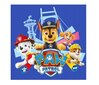 Adventes kalendārs Paw Patrol un dāvanu spilvens Cat, 50 cm cena un informācija | Rotaļlietas zēniem | 220.lv