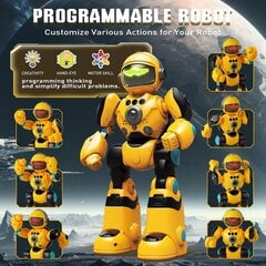 Interaktīvs radiovadāms robots Remote Control Robot цена и информация | Игрушки для мальчиков | 220.lv