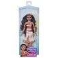 Lelle Disney Moana princese Vaiana: Okeāna dārgumi, 25 cm цена и информация | Rotaļlietas meitenēm | 220.lv