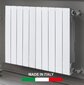 Alumīnija radiators Plus Evo 4, Itālija цена и информация | Apkures radiatori | 220.lv