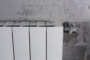 Alumīnija radiators Plus Evo 5, Itālija цена и информация | Радиаторы отопления | 220.lv