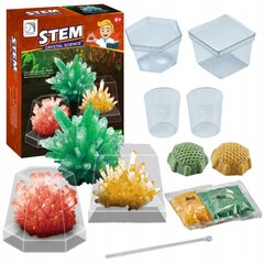 Набор для творчества STEAM GO - выращивание кристаллов цена и информация | Развивающие игрушки | 220.lv