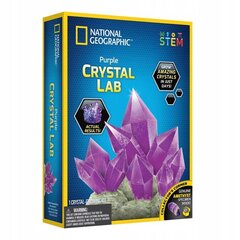 Grow a Crystal Science spēle National Geographic, violeta krāsā цена и информация | Развивающие игрушки | 220.lv