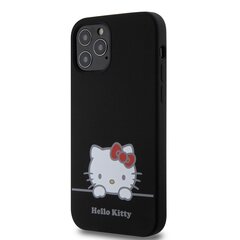 Hello Kitty Liquid Silicone Daydreaming Logo Case for iPhone 15 Pro Black цена и информация | Чехлы для телефонов | 220.lv