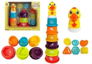 Izglītojoša piramīda Lean Toys, 6 mēn. цена и информация | Игрушки для малышей | 220.lv