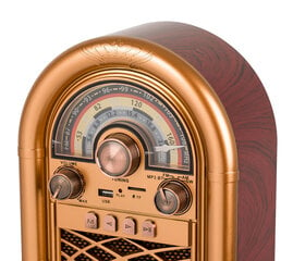 AM, FM Retropolis New Orleans цена и информация | Радиоприемники и будильники | 220.lv