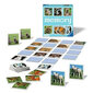 Atmiņas spēles Ravensburger Grand Memory Theme: Small animals, EN cena un informācija | Galda spēles | 220.lv