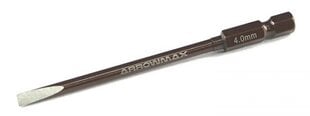 Skrūvgriezis Arrowmax 4,0 x 100 mm, 1 gab. cena un informācija | Rokas instrumenti | 220.lv