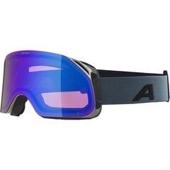 Slēpošanas brilles Alpina Blackcomb Q-Lite, melna/zaļa cena un informācija | Slēpošanas brilles | 220.lv