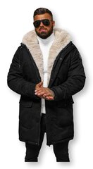 Зимняя куртка из очень прочной ткани рипстоп цена и информация | Мужские куртки | 220.lv
