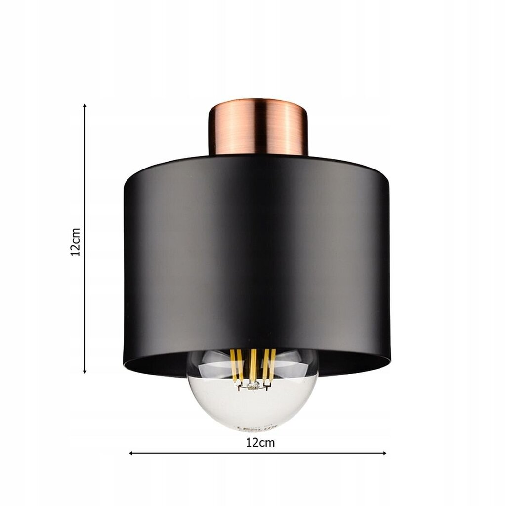 Griestu lampa, Ledlux цена и информация | Griestu lampas | 220.lv