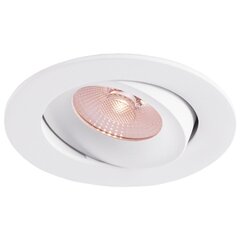 LED Downlight 8W Dim to Warm 520lm IP44 38° CRI>90 PF>0,9 (Internal Driver Included) RAL9003 THORGEON цена и информация | Монтируемые светильники, светодиодные панели | 220.lv