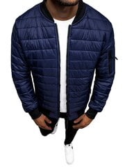 Icepeak мужская софтшелл куртка LUKAS 57974-3 57974-3*390, тёмно-синяя цена и информация | Мужские куртки | 220.lv