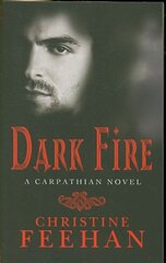 Dark Fire: Number 6 in series cena un informācija | Fantāzija, fantastikas grāmatas | 220.lv