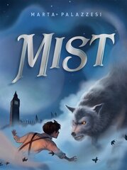 Mist цена и информация | Книги для подростков  | 220.lv