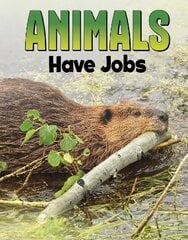 Animals Have Jobs cena un informācija | Grāmatas pusaudžiem un jauniešiem | 220.lv