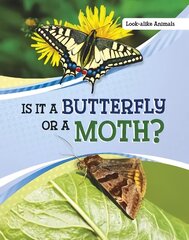 Is It a Butterfly or a Moth? цена и информация | Книги для подростков и молодежи | 220.lv