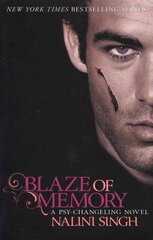 Blaze of Memory: Book 7 цена и информация | Фантастика, фэнтези | 220.lv