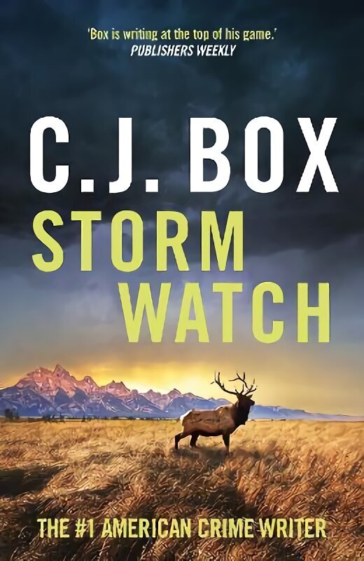 Storm Watch цена и информация | Fantāzija, fantastikas grāmatas | 220.lv