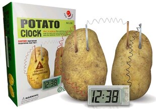 Kartupeļu pulksteņa radošais komplekts cena un informācija | Attīstošās rotaļlietas | 220.lv
