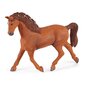 Figūru komplekts Horse Adventures Schleich 72223, rozā cena un informācija | Rotaļlietas meitenēm | 220.lv