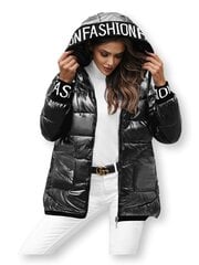 Женская переходная куртка, серая  цена и информация | Женские куртки | 220.lv