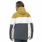 Slēpošanas jaka Salomon Slalom Pelēks Vīriešu cena un informācija | Vīriešu slēpošanas apģērbs | 220.lv