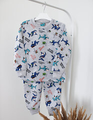 Pidžama bērniem CitCit cena un informācija | Zēnu pidžamas, halāti | 220.lv