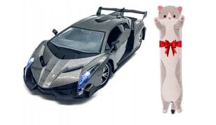 Bērnu sacīkšu auto ar stūri RC NR1 un plīša spilvens Cat, 50 cm цена и информация | Игрушки для мальчиков | 220.lv