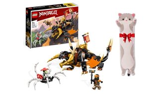 71782 LEGO® Ninjago Cole Earth Dragon EVO, 285 g. un dāvanu spilvens Cat, 50 cm cena un informācija | Konstruktori | 220.lv