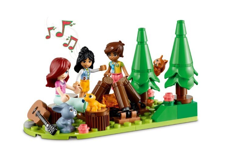 41735 LEGO® Friends pārvietojamā māja, 785 g un dāvanu spilvens Cat, 50 cm cena un informācija | Konstruktori | 220.lv