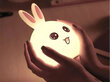 Bērnu nakts gaismas LED trusis ar tālvadības pulti цена и информация | Lampas bērnu istabai | 220.lv
