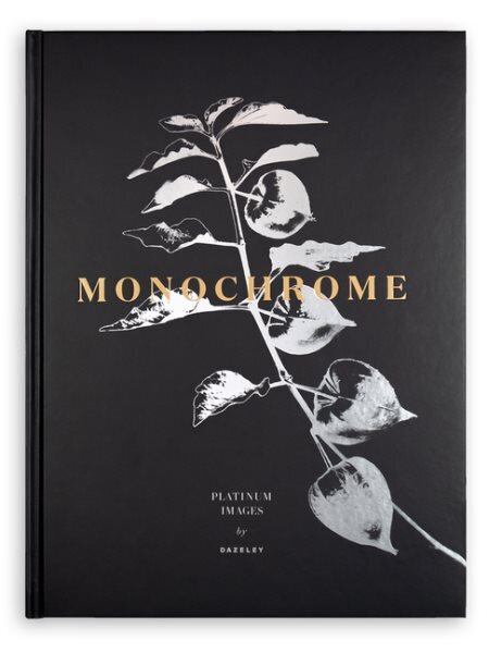 Monochrome: Platinum Prints cena un informācija | Grāmatas par fotografēšanu | 220.lv
