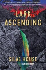 Lark Ascending цена и информация | Фантастика, фэнтези | 220.lv