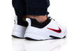 Vīriešu sporta apavi Nike Defyallday DJ1196101 cena un informācija | Sporta apavi vīriešiem | 220.lv